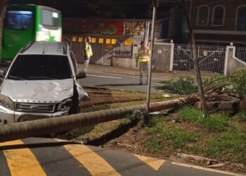 Carro bate em árvore e causa interdição em avenida de Campinas