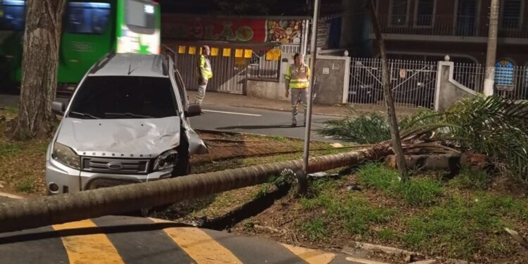 Carro bate em árvore e causa interdição em avenida de Campinas